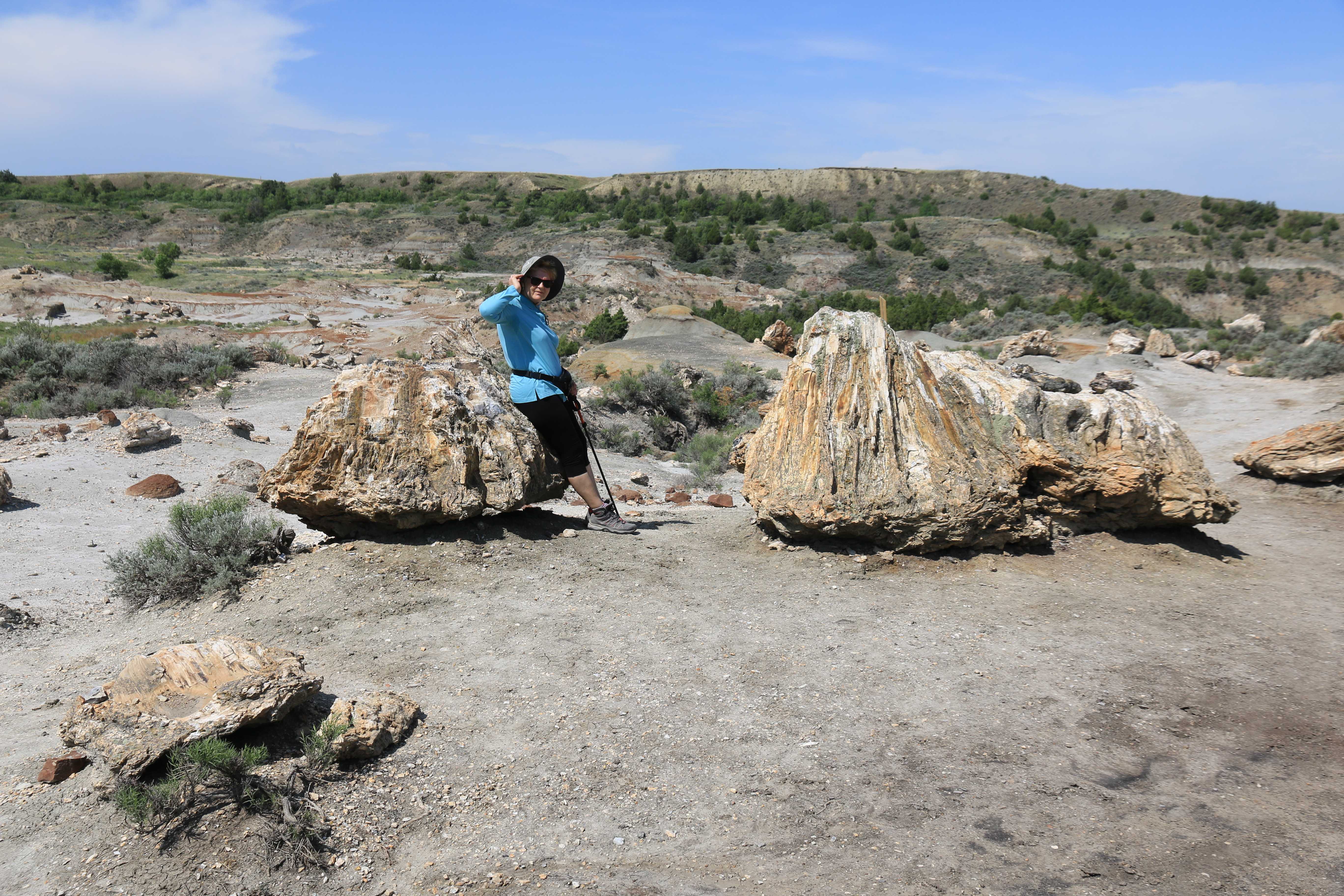 Theodore Roosevelt NP